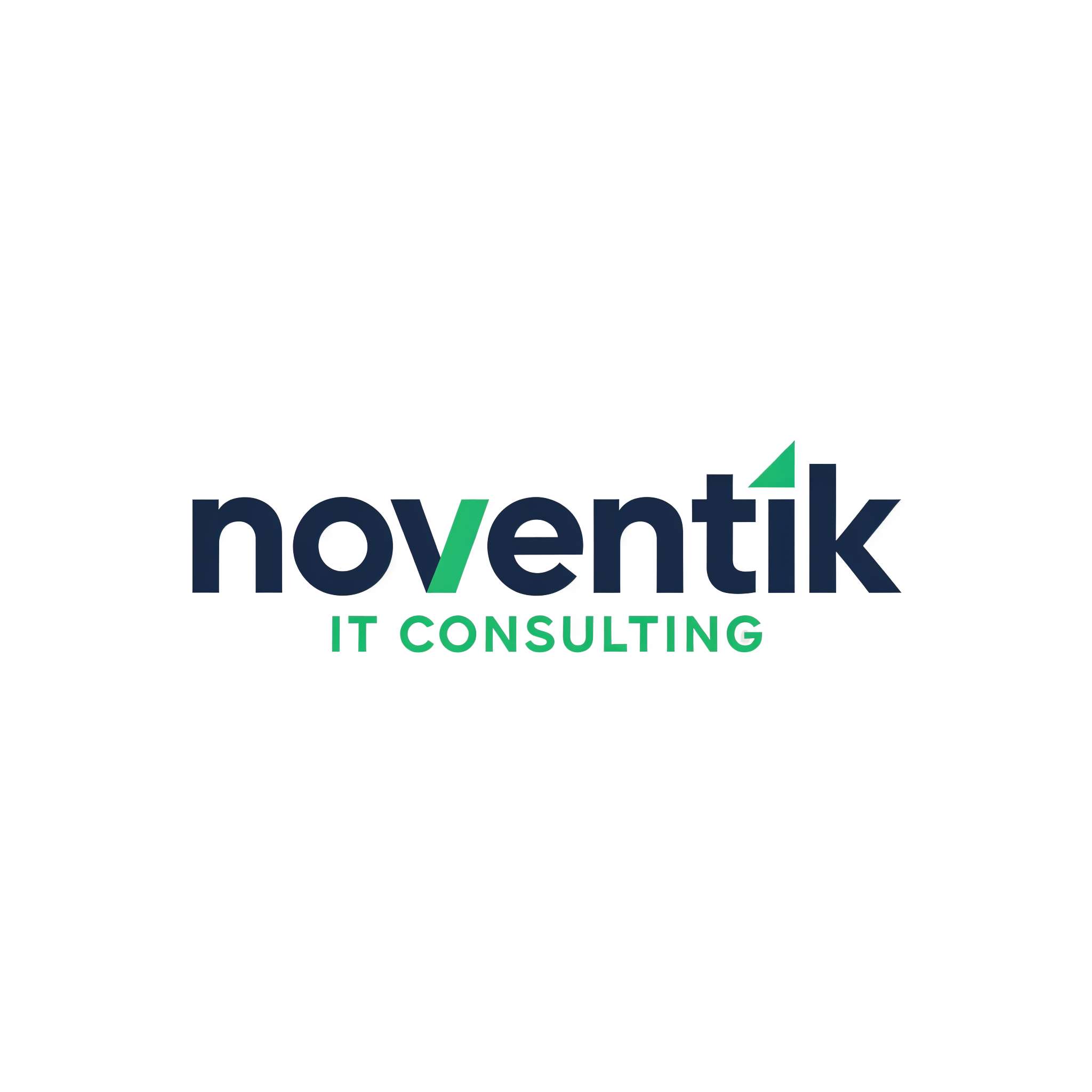 Logo Noventik IT Consulting - Expert Audit et Sécurité Réseau